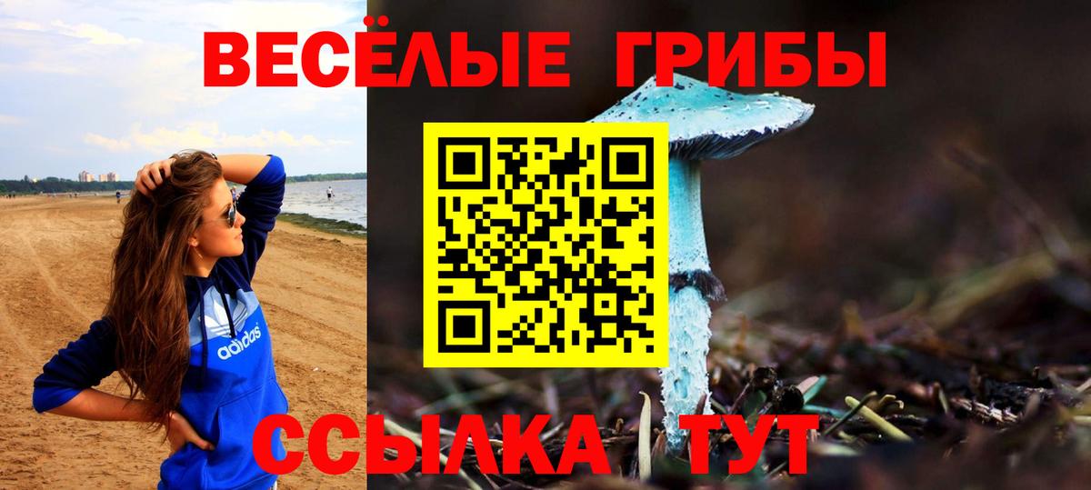 Дмитров  Галлюциногенные грибы мицелий  Вход с VPN 