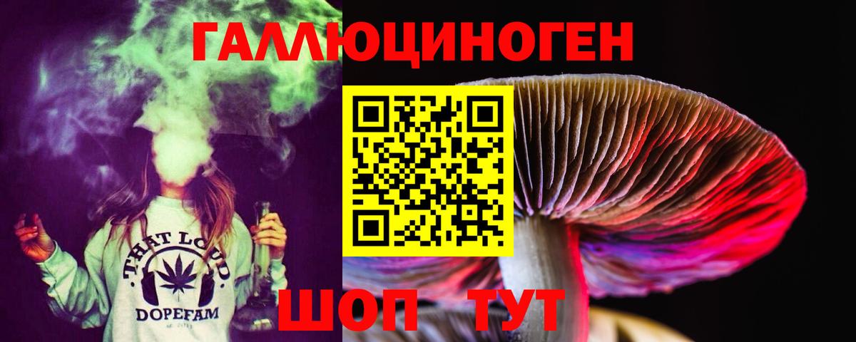 Галлюциногенные грибы Psilocybine cubensis Дмитров